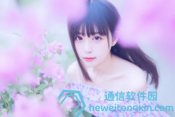 大三巴資料大全一肖中特更新日期：權(quán)威整理與最新揭曉